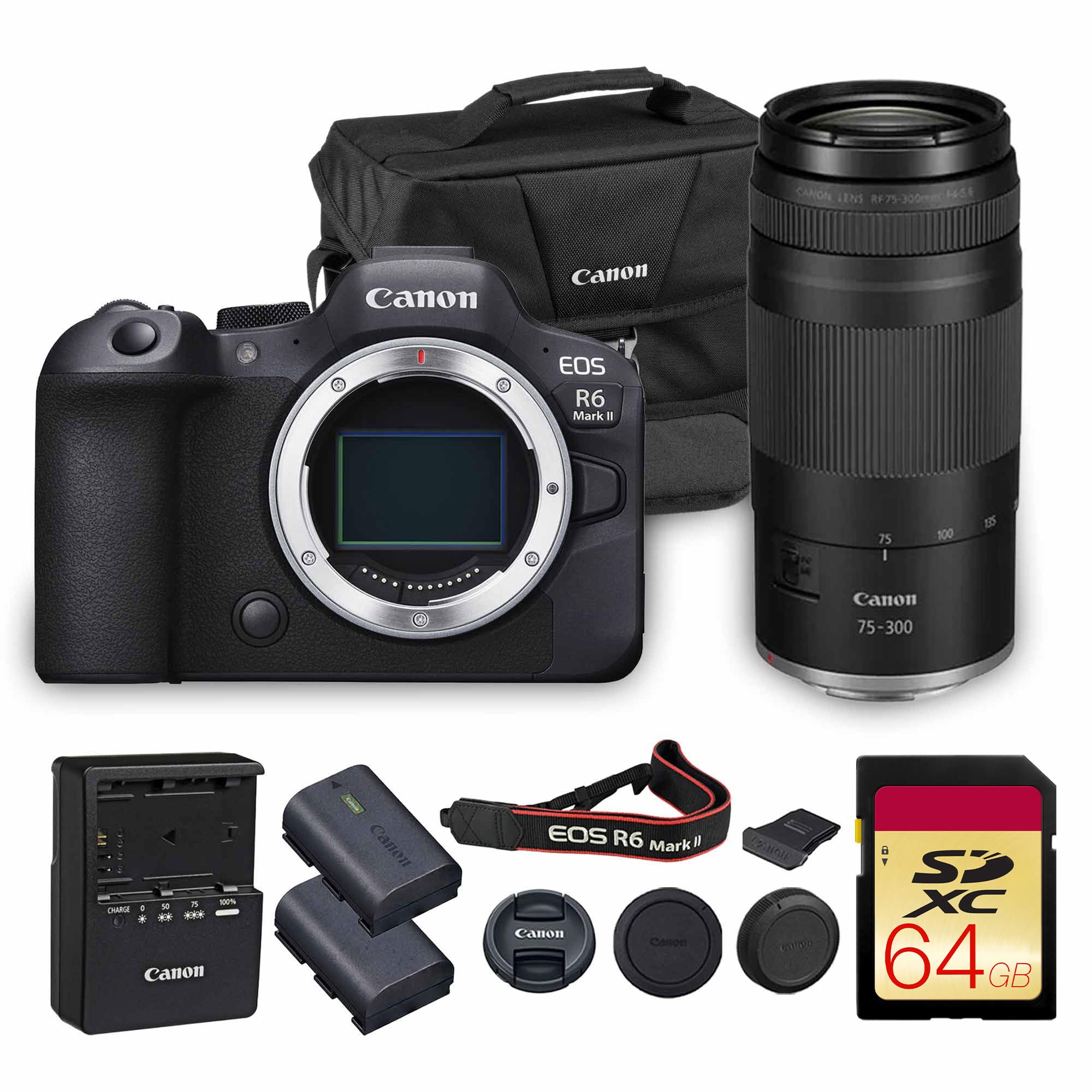 Canon EOS R6 Mark II Mirrorless Camera | 24.2MP Full Frame Sensor 4K 60p Video | Dual Pixel AF in-Body Stabilization for Professionals (5666C002) + Canon RF 75-300mm Lens + 64GB Card + Bag-picture-22