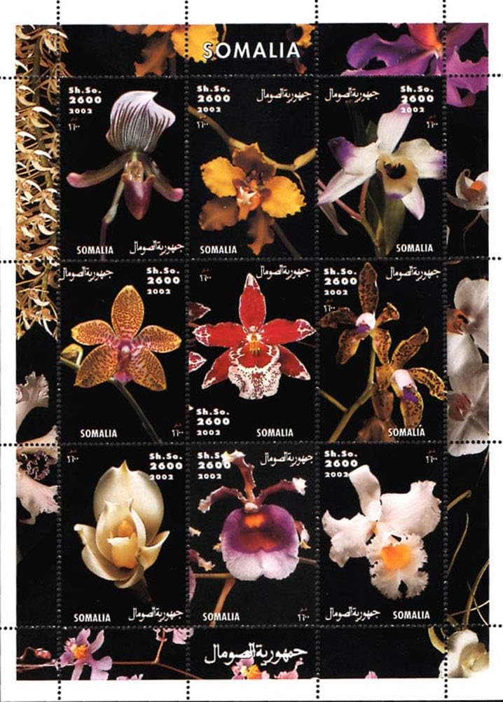 Somalia 2002 Orchid Flowers 9v Mint Thematic Stamps Africa (1 Full Sheet)