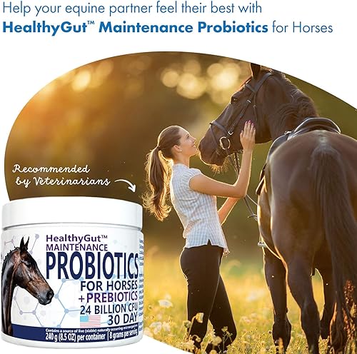Miniatura 6 de HealthyGut Probióticos para caballos Suplemento dietético, fórmula de mantenimiento del sistema digestivo totalmente natural (30 días)