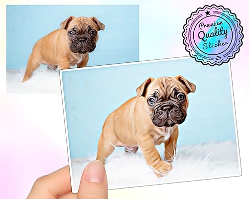 Miniatura 3 de Adhesivo personalizado – Retrato de dibujos animados de mascotas | Personalizada – Calcomanía de imagen | Impermeable | Guarda tu calcomanía de foto