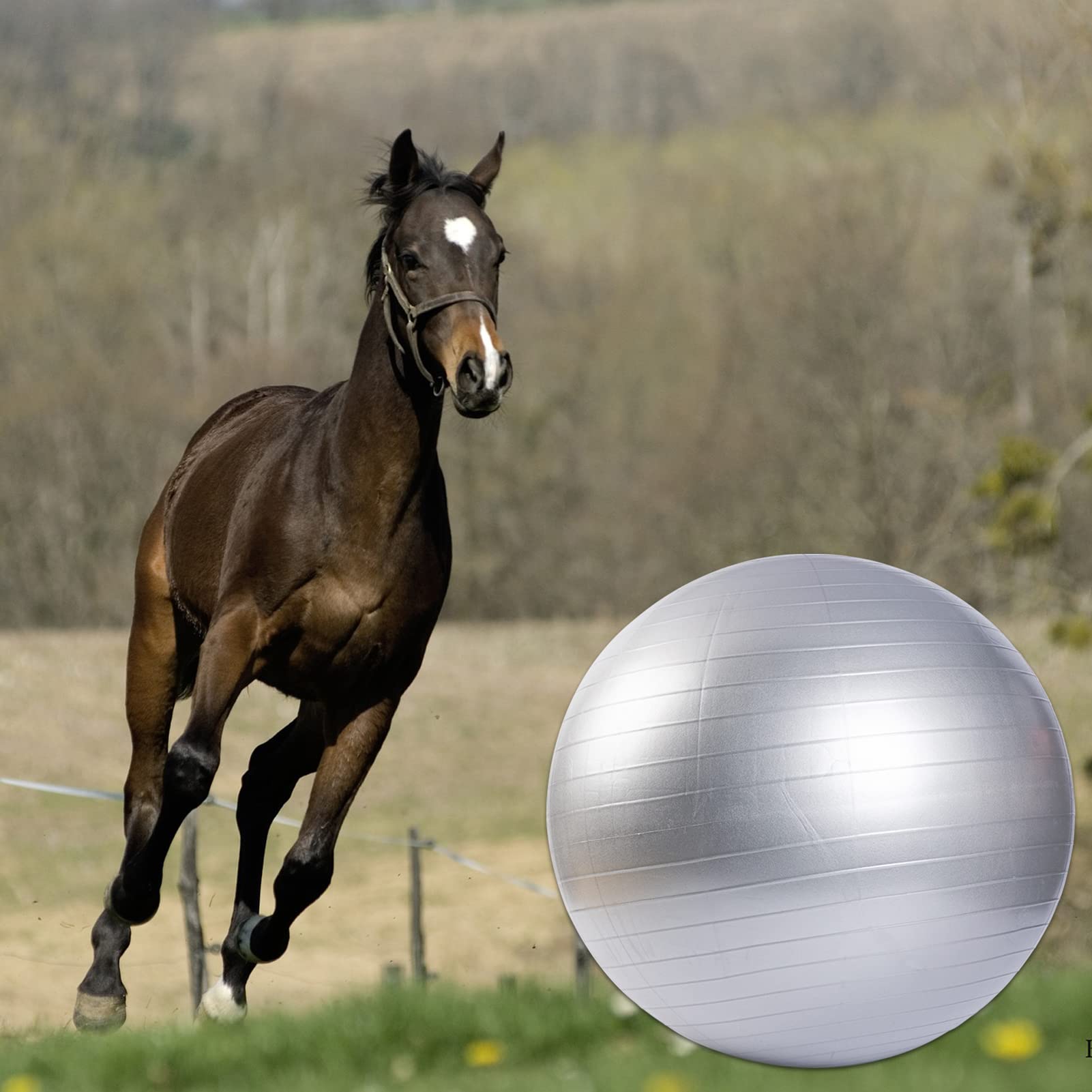 MiOYOOW Hundehüttenball, 45,7 cm, Pferdeball, Spielzeug