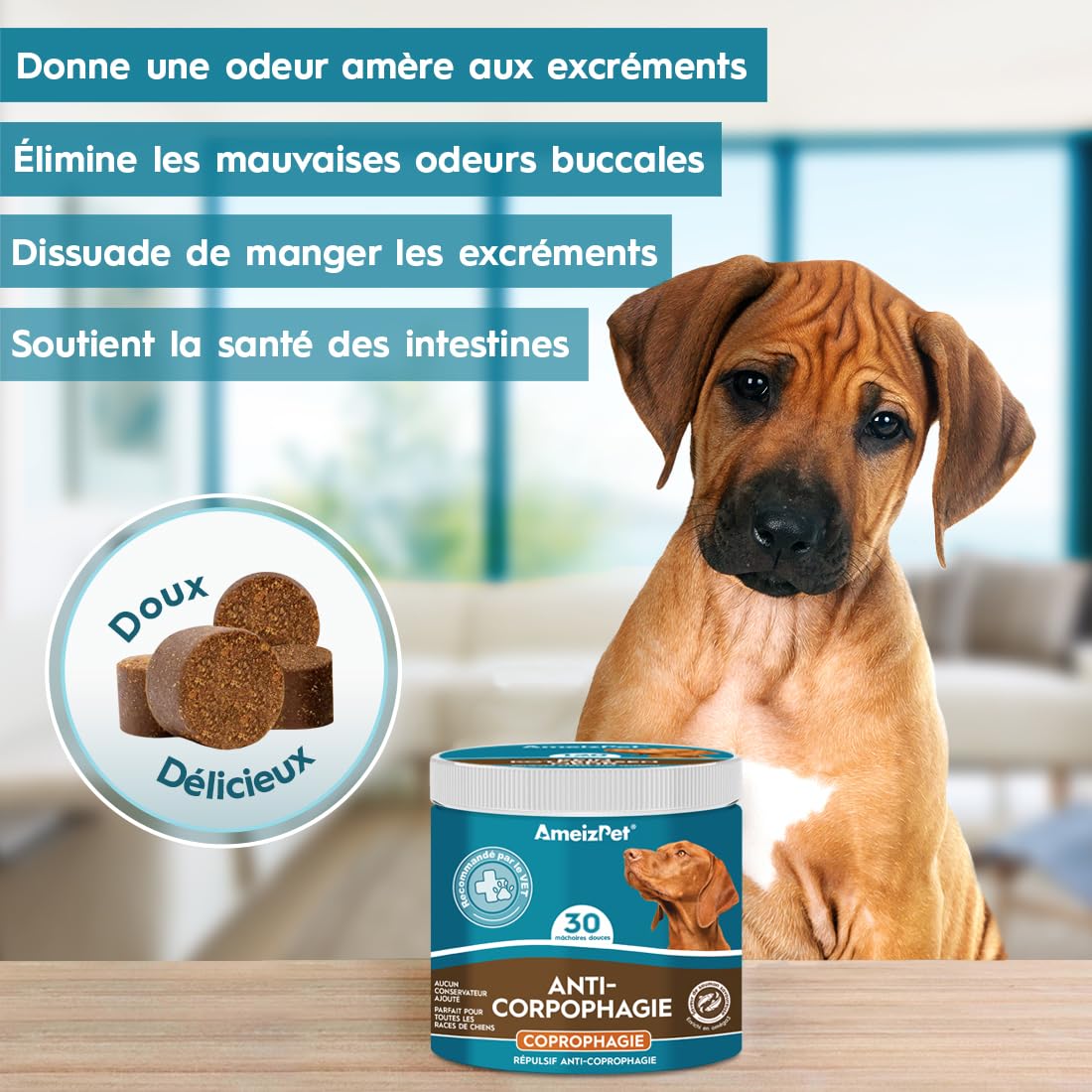 AmeizPet Arrête De Manger du Caca Friandises Molles pour Chiens, Anti Coprophagie pour Chien en Mangeant des Enzymes Digestives, pour Bien-Être Intestinal, 30 Friandises, 67.5g (2.3 Oz)