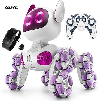 2.4G Uzaktan Kumandal  Robot K pek Araba, Bilekten Kontroll  RC Oyuncak, 8 Teker, Sesli, I kl , Akrobatik Hareketli, 8+ Ya