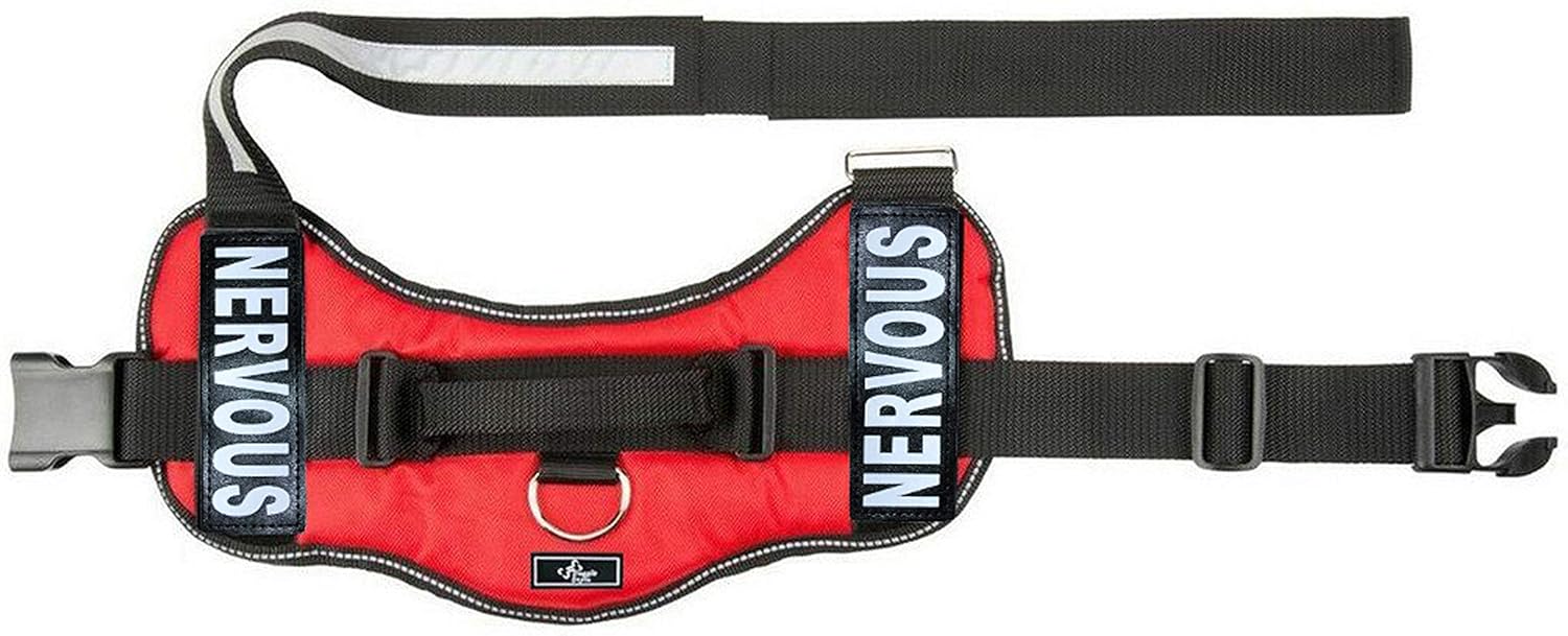 Doggie Stylz Dog Harness with Removable Patches and Reflective Trim. Dog Vest Comes with 2 Nervous Reflective Hook and Loop Patches. Measure Dogs Girth Before Purchase (Girth 19" - 25" Red)