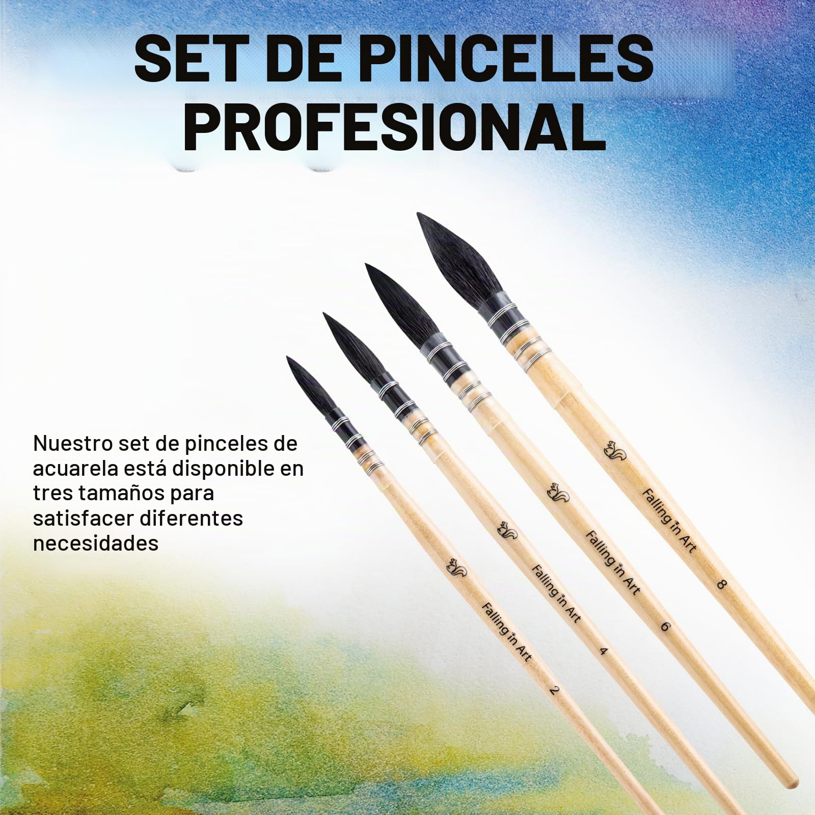 COOZEE Pinceles para artistas, pinceles profesionales de acuarela de pelo de ardilla natural, juego de pinceles redondos y puntiagudos perfectos para acuarela, pintura acrílica gouache (4 pinceles)