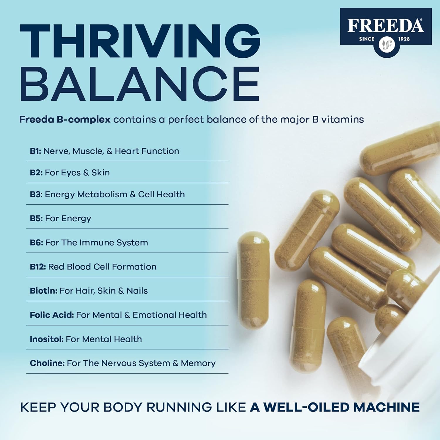 FREEDA B-Complex Capsules – Super Quints B-50 – B2 B3 (Niacinamide) B6 B12 + Biotin + Folic Acid + Choline & Inositol – Vegan – 250 Capsules