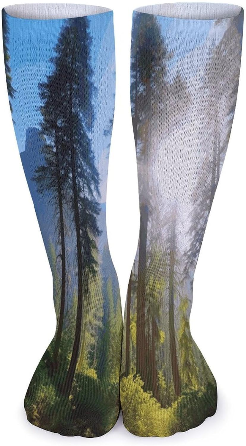 National Parks Sunshine Trees Crew Socks Cozy Casual Calf Socks Lightweight Long Work Sock Breathable Athletic Sock for Hiking Sports Running 5 Pairs