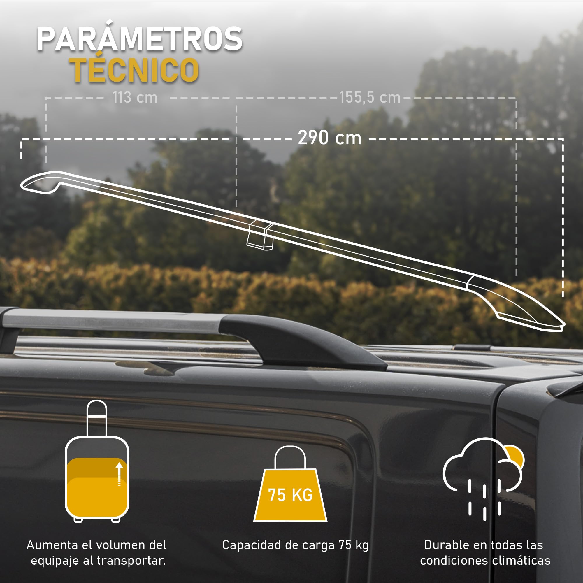 CHROMEMASTER | Compatible con Renault Trafic 3 Long L2 2014+ | Barras Portaequipajes, Rieles de Techo; Se Utilizan para el Montaje de Portaequipajes de Techo, Cajas de Techo o Portabicicletas