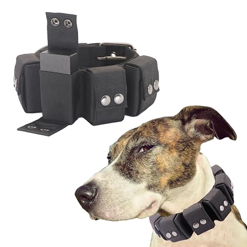 Walktime Collar táctico con peso para perro, pesas para entrenamiento y ejercicio, perros pequeños