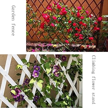 Decorative Fences Plant Screen,Telescopic Room Divider Fence - Easy To Install