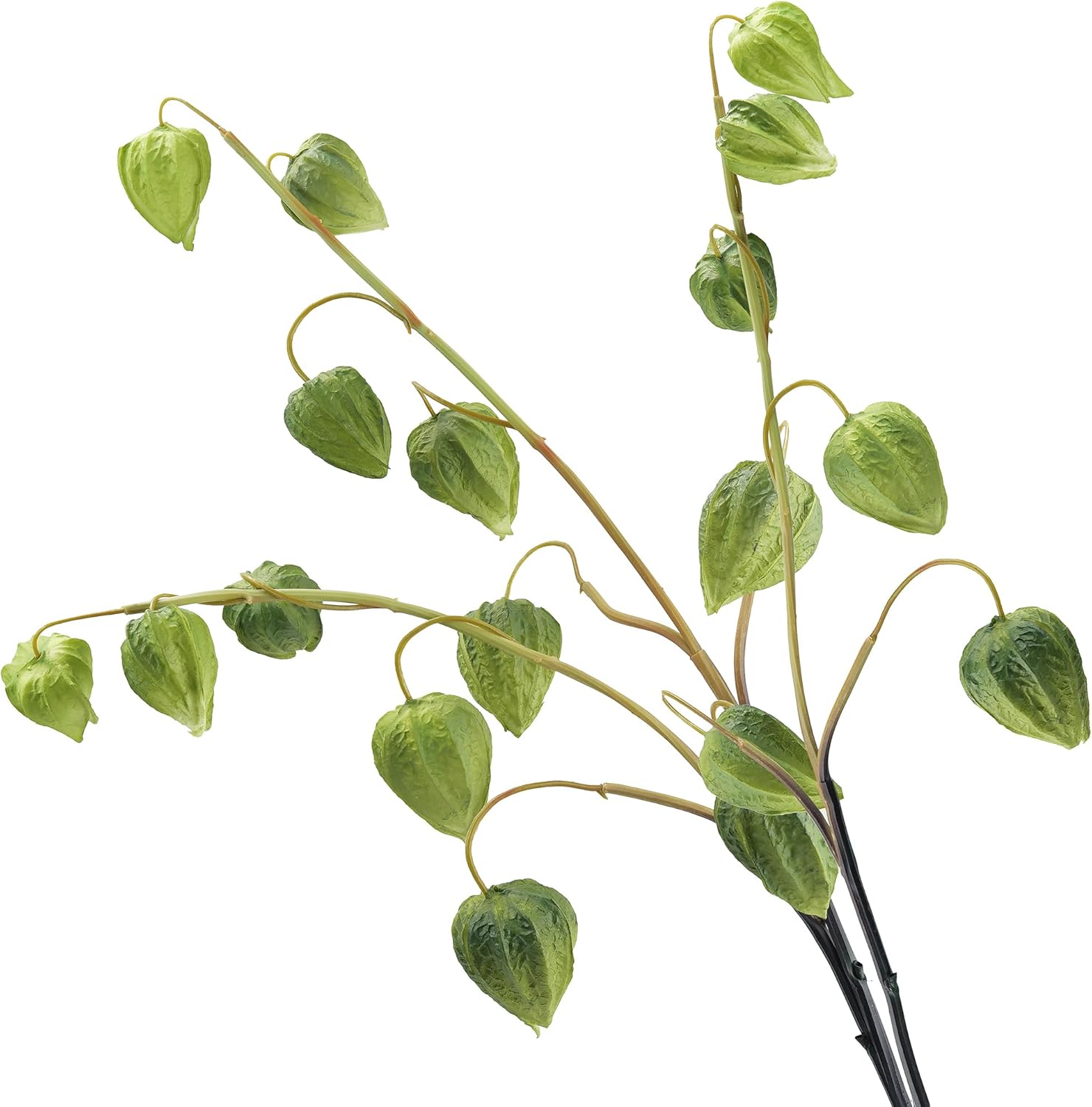 Artificial Chinese Lantern Stems – Real Touch PU Physalis – 39” Tall – Home, Event & Seasonal Decor – Multiple Colors (Plum Spice (Plum-Brown))