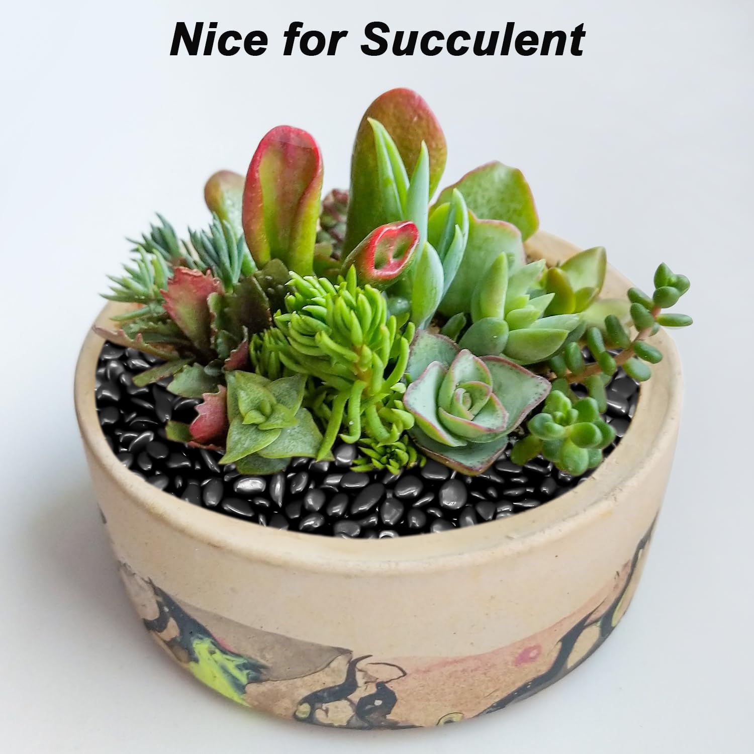 Pebbles for Indoor Plants,Virekm River Rocks,Decorative Ornamental Pebbles,Garden Landscaping Stones Gravel Filler for Home Decoration Flower Bed Fish Tank Plants Vases Succulents (10 Pounds)