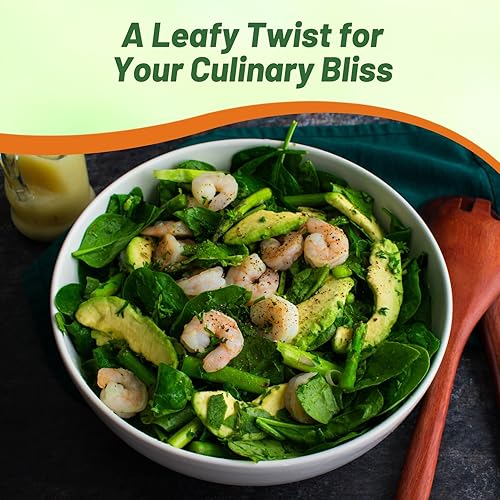 Miniatura 6 de Outsidepride Basella Rubra Malabar - Plantas de jardín de hierbas de vid trepadora de espinacas - 100 semillas