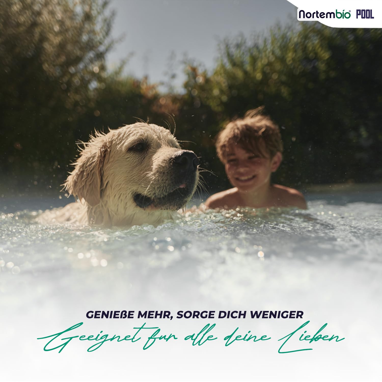 Nortembio pH Plus Pool 6,5kg - pH Heber für Whirlpool & Schwimmbad - pH+ 100% Naturrein - Schnelle Wirkung für Kristallklares Wasser + eBook Profi-Tipps