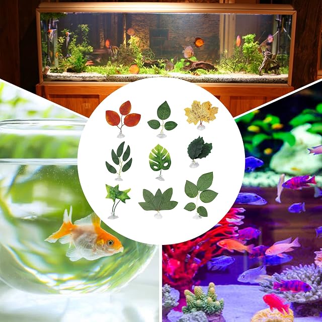 Foto 4 de 7 de 9 piezas Betta Bed Leaf Hamaca Pad Betta Fish Leaf Pad Betta Fish Hamaca Betta Fish Accesorios Plantas Tank…