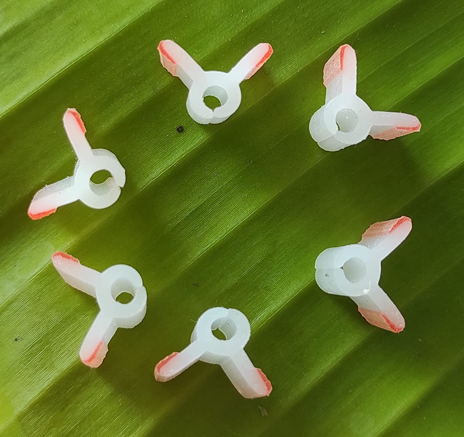 silicon Grafting Clip 2.5MM (25 pcs) for Plant Fruit & Vegetable, Silicon Clip for Grafting-Plant Straightener Clip (B0C55LJ276) Amazon Price History, Amazon Price Tracker