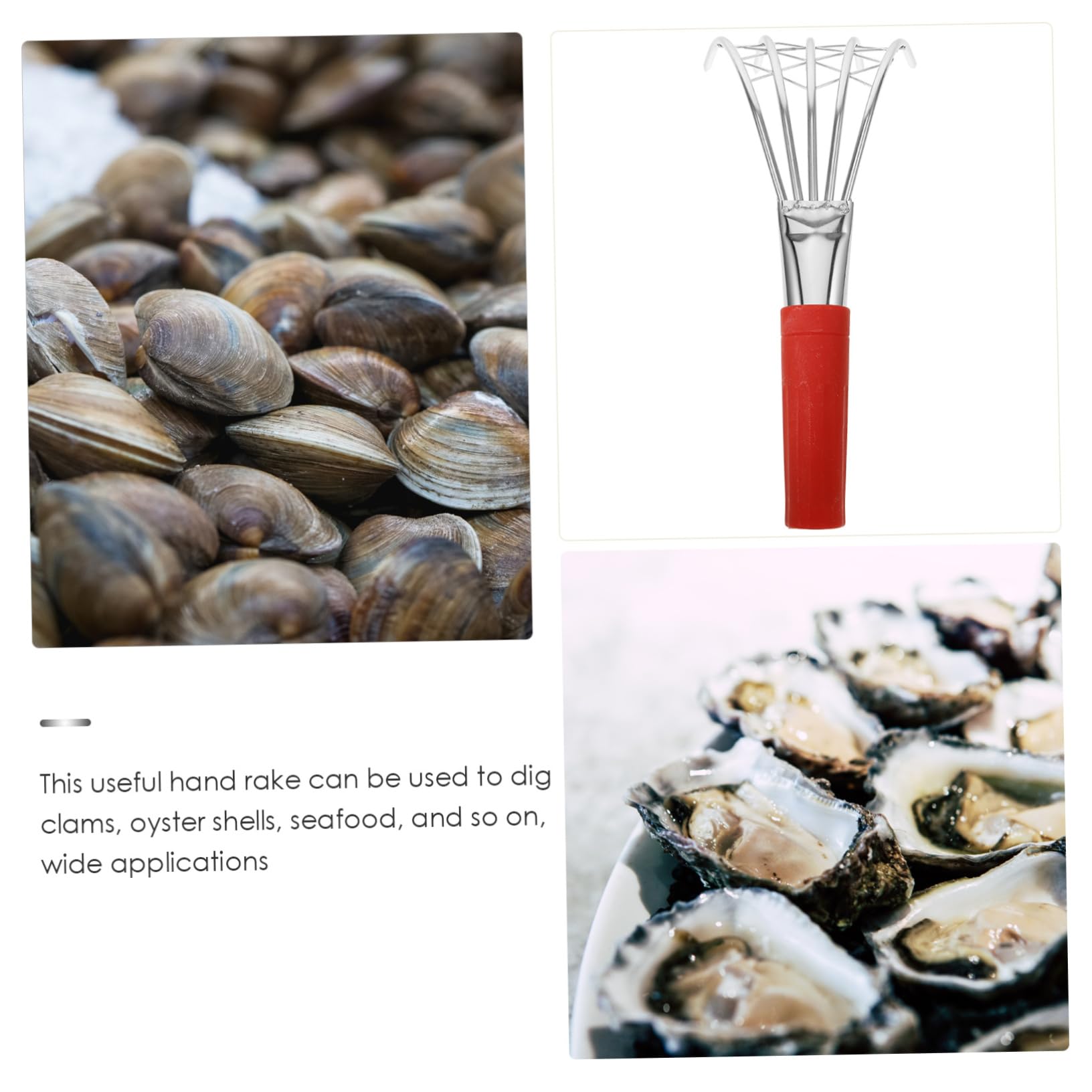 Toyvian 2 Stück Strandrechen für Ergonomischer Muschelrechen Rostfreiem mit Fünf Zähnen Werkzeug zum Muschelsuchen für Einsatz Am Strand
