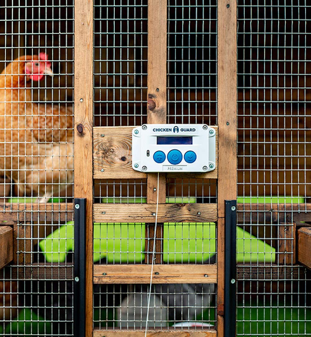 ChickenGuard Premium Automatic Chicken Coop Door Openers, Timer/Light