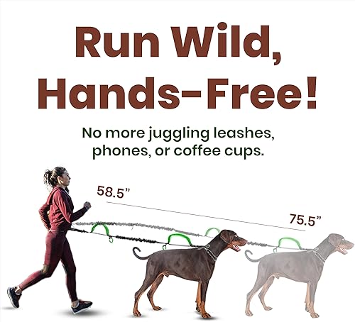 Miniatura 3 de Hands Free Dog Leash for 2 Dogs – Dual Bungee Running Leash with Adjustable Waist Belt, Tangle-Free 360° Swivel, Shock Absorbing, Padded Handles &