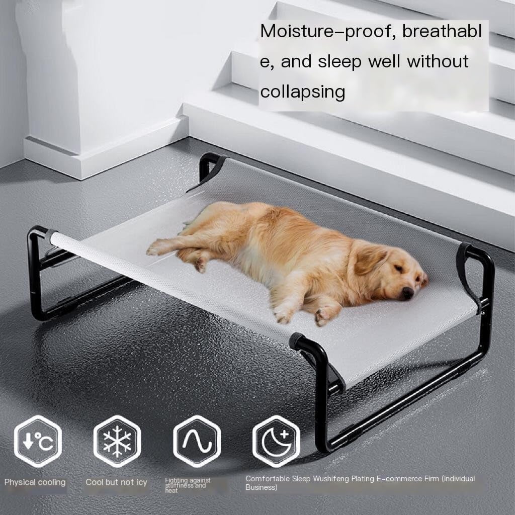 Stay Comfortable Anywhere: Review of the Summer Off-The-Ground Dog Camp Bed