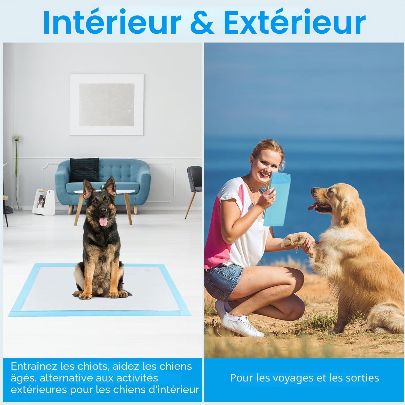60 Pièces Alaise pour Chien, 90 x 60cm Alese Jetable, 5 Couches Tapis Educateur Chiot, Tapis Hygiénique Absorbant, Anti-Fuite et Séchage Rapide