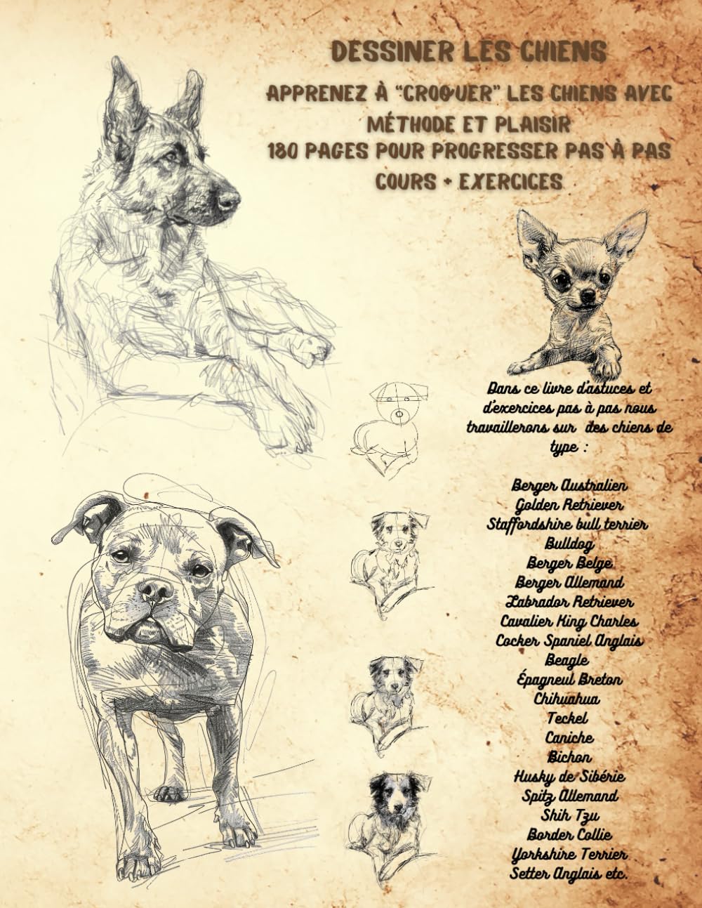 Dessiner des chiens : 97 illustrations et exercices en 189 pages