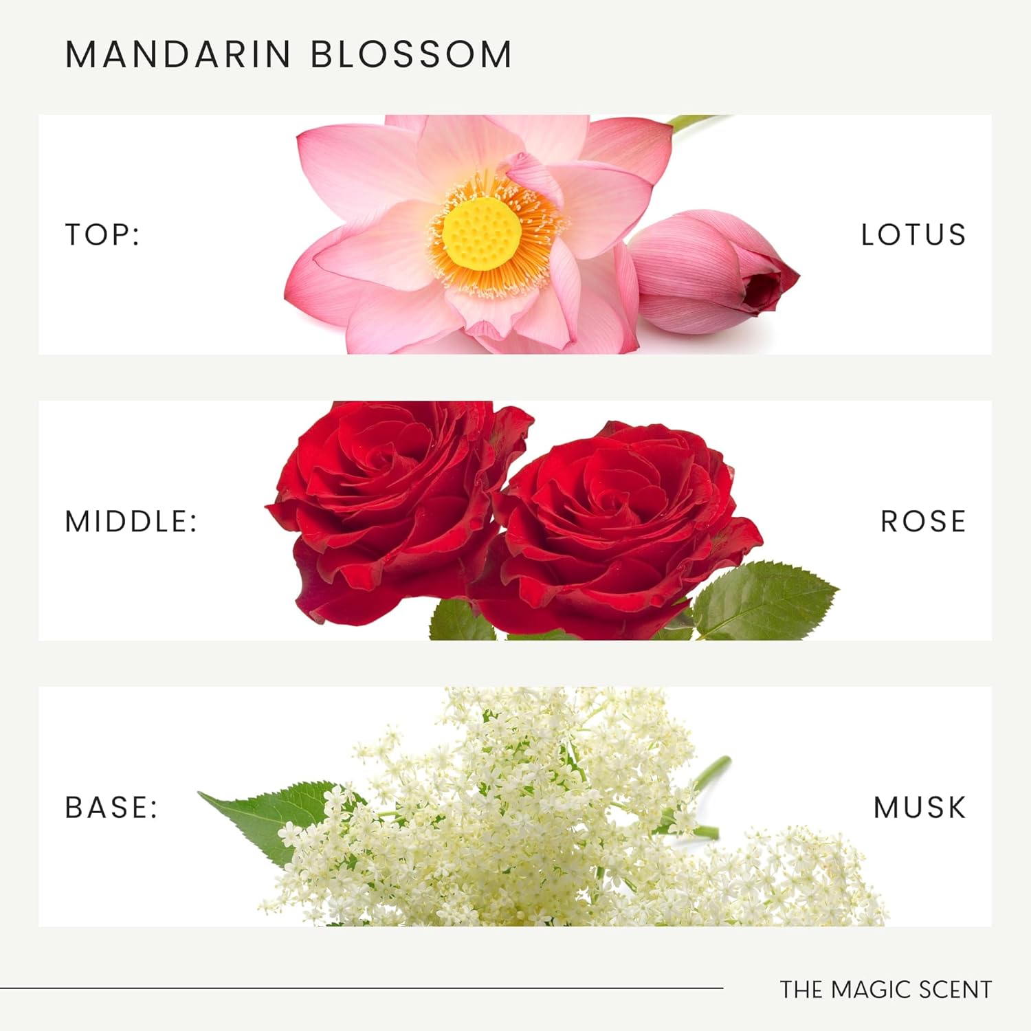 The Magic Scent Mandarin Blossom Diffuser Oil - Hotel & Home Luxury Scents Inspired by Maldives - Diffuser Oil Scents for Home Designed for Use in All Diffusers - 16.9 fl oz, 500 mL - Image 5