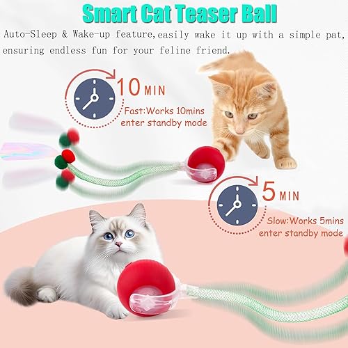 Miniatura 4 de Speed 2.0 Tail - Juguetes interactivos para gatos de interior, juguete Ca t para chirridos y activación de movimiento, juguete inteligente de bola