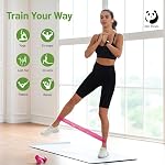 Slim Panda Bandes de résistance, ensemble de 5 Bandes d'exercices en boucle de résistance amies de la peau avec 5 Les forces pour la physiothérapie, le yoga, Pilates, l'entraînement de la force, la condition physique à domicile & Gymnase - Cas d'exécution inclus