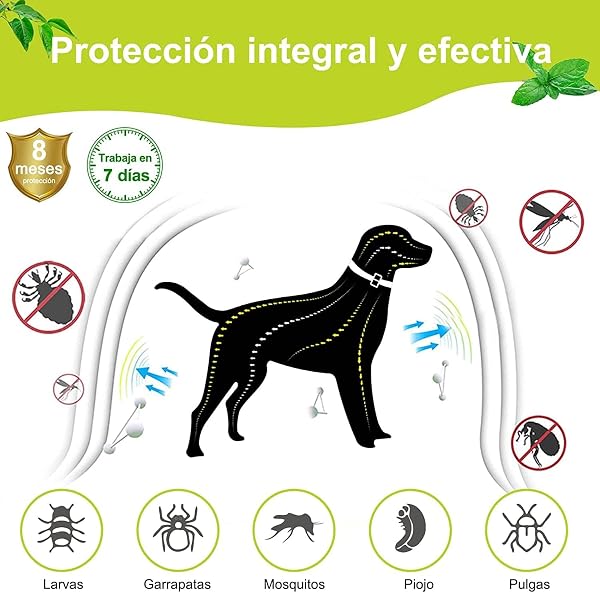 DEWEL Collar contra Pulgas y Garrapatas para Perros Grandes Medianos y Pequeños, Collar Antiparasitario para Perros 8 Meses de Protección, Control Antipulgas para Mascotas de 63,5 cm Gris 1 Unidad - 5
