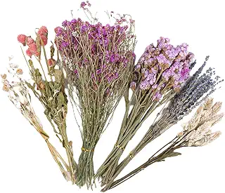 Hamster Bedding Natural - 25cm Flower Grass Habitat Decor With Dried Plant Bundle | Small Animal Cage Ornament | Odor Control Decoration For Bunny Gerbil Guinea Pig Cage Setup Seasonal Display
