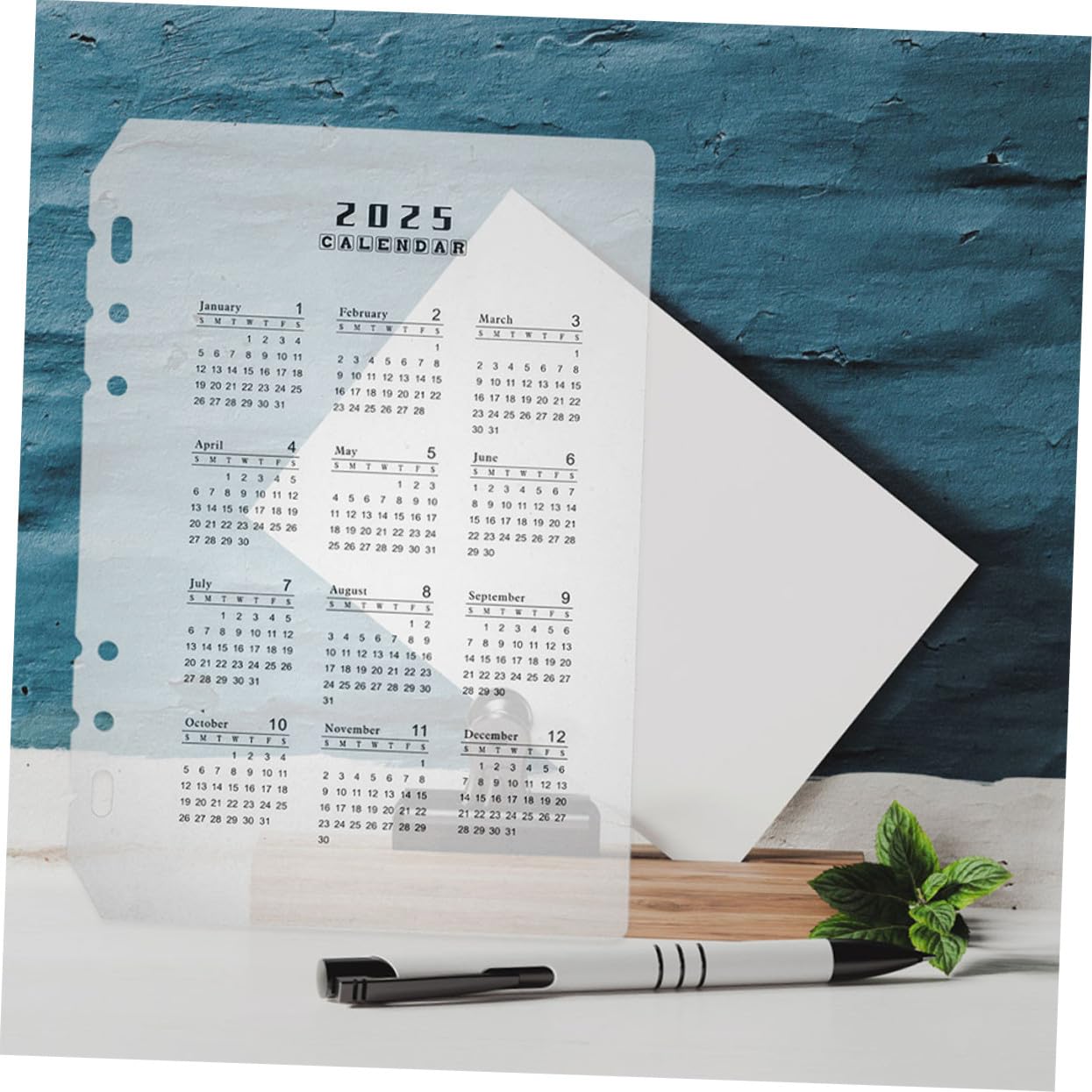 60 Pezzi Divisori in PP Opaco Inserti Planner per Ricarica Agenda Mensile Organizer Date e Pagine Staccabili per e Raccoglitore