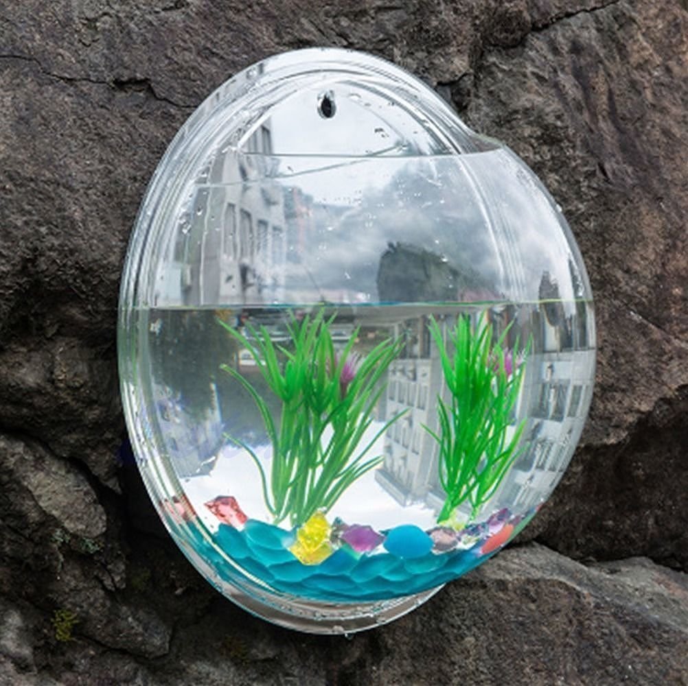 Amazon | EJG 壁掛け水槽 観葉植物 アクアリウム 花瓶、壁掛け水培養