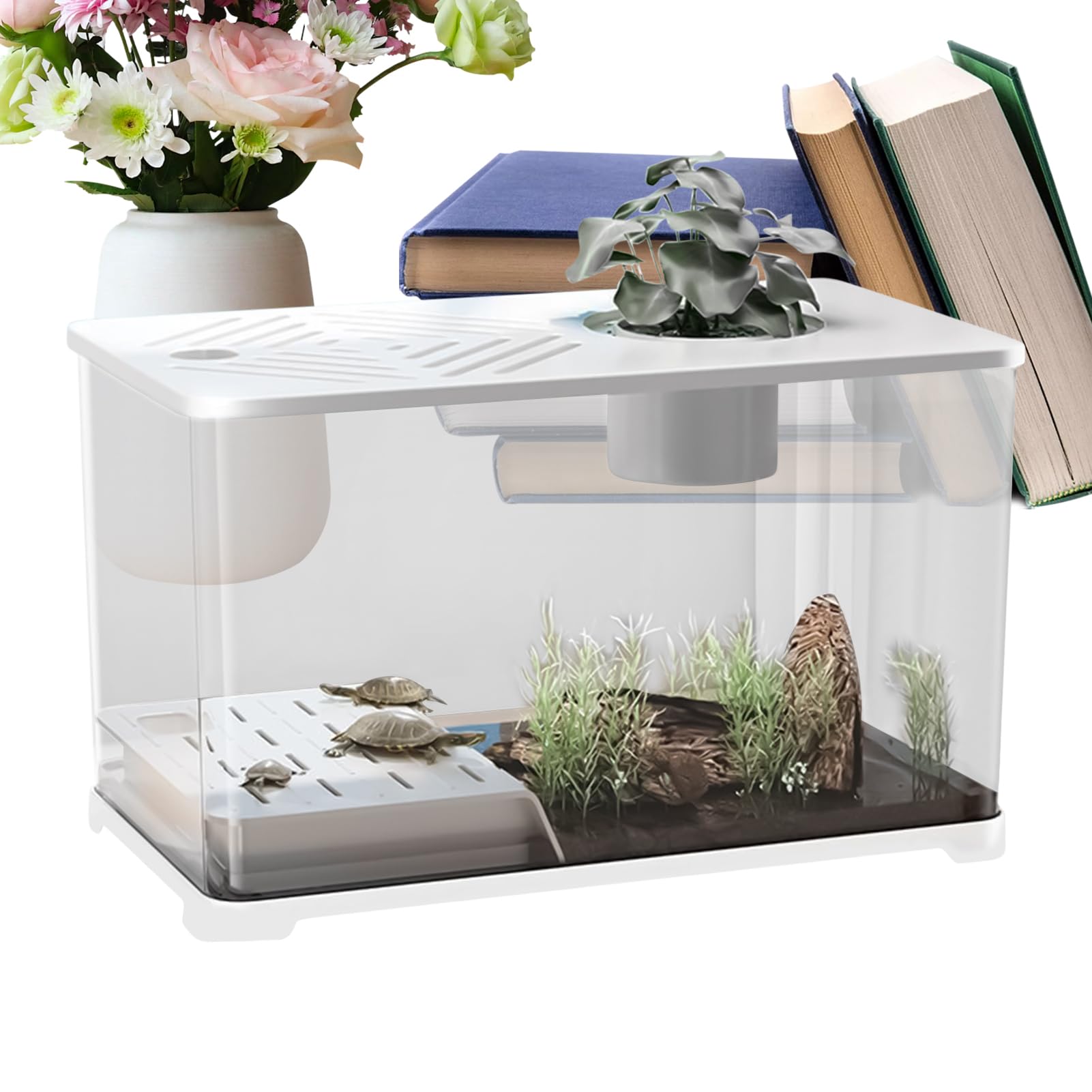 Acuario Kits De Inicio para Acuarios Grandes | Contenedor Panorámico Con Zona Para Tortugas Y Plantas Acuáticas, Para Guppys, Gambas, Caracoles Y Decoración De Escritorio