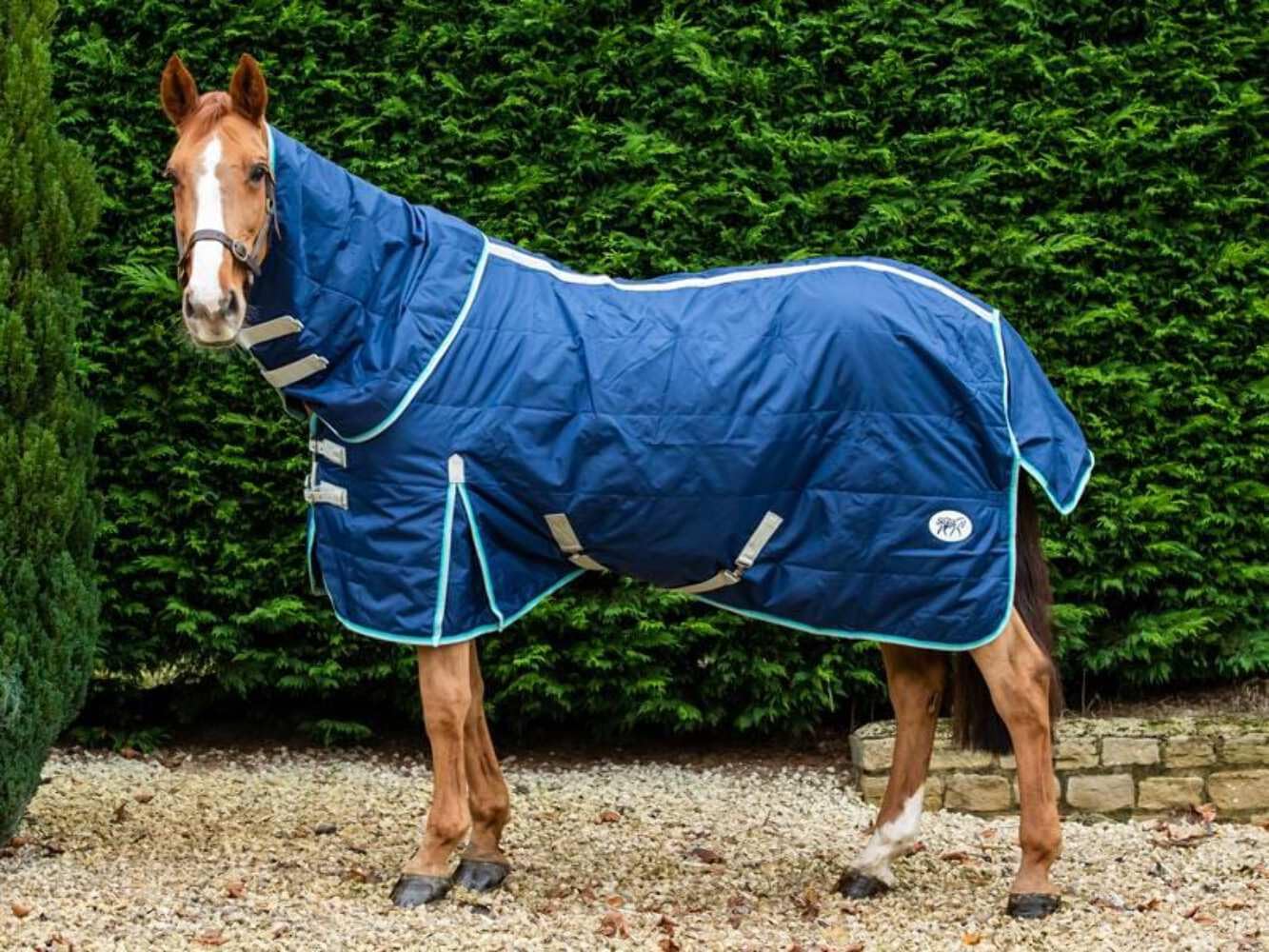 Swish Equestrian 100g Stable Rug With Detachable Neck - Navy/Mint