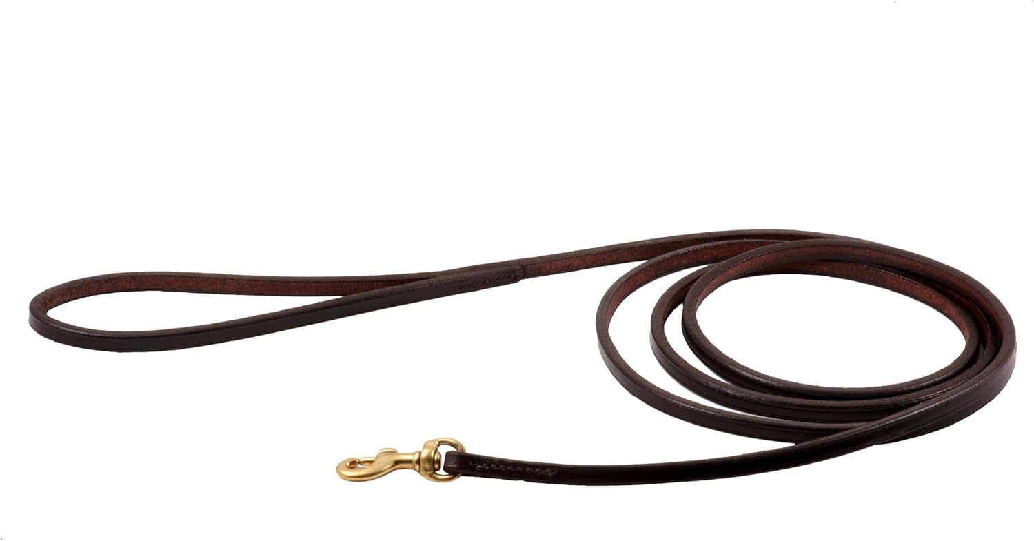 Alvalley Snap Dog Leash - Handmade Leather Dog Leash - Smooth and Soft to Hold - Solid Brass Snap Hardware - Easy to Use - Suitable for Training, Walking, & Showing(Black, 10ft Long, 9.5 mm Thick)