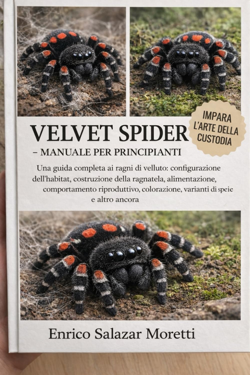 VELVET SPIDER - MANUALE PER PRINCIPIANTI: Una guida completa ai ragni di velluto: configurazione dell'habitat, costruzione della ragnatela, ... varianti di specie e altro ancora