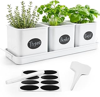Indoor Herb Garden, Herb Planter Set with Handled Tray, 3 Iron Indoor Pl...