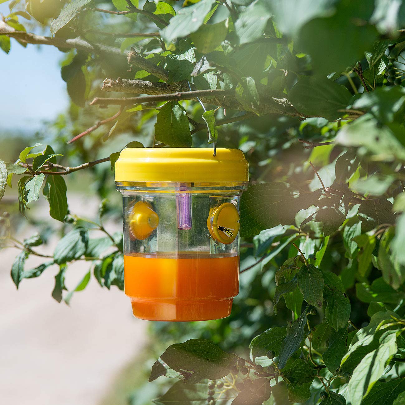 Exbuster Insekten-Fallen: 8er-Set giftfreie Solar-LED-Insektenfalle zum Aufhängen und Hinstellen (Insektenfallen für Fliegen, Wespen-Falle)