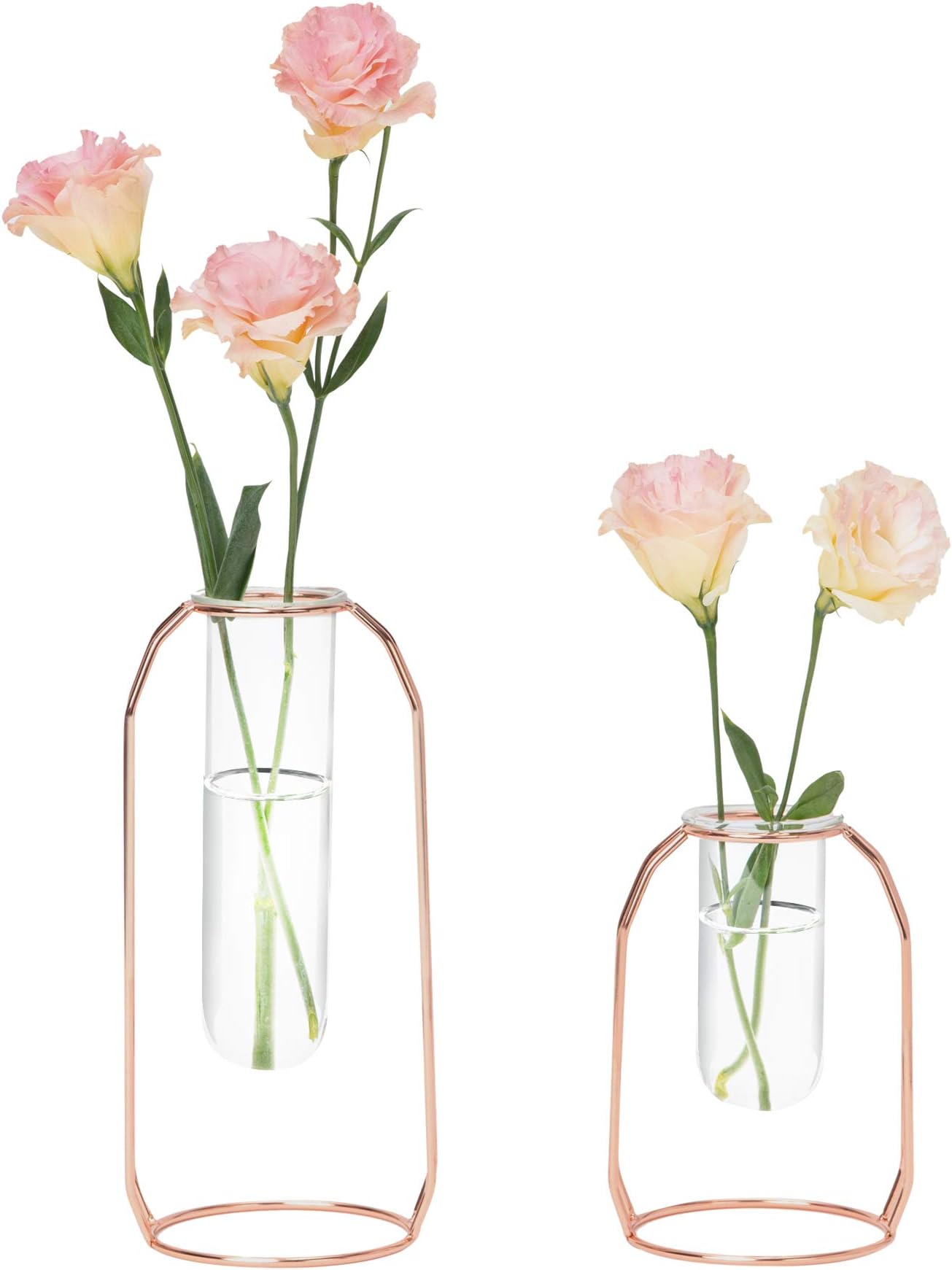 Hyindoor Two Sizes of Metal Frame Clear tube Glass vases, Hydroponic Plant & Flower Decoration for Living Room(Rose Gold)
