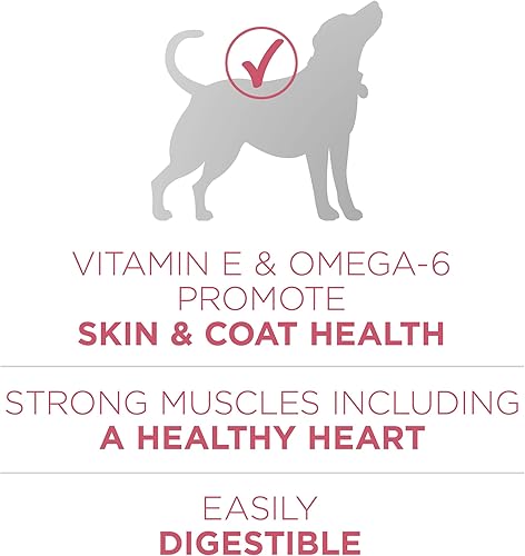 Miniatura 4 de Purina ONE Alimento seco natural para perros con estómago sensible fórmula SmartBlend Sensitive Systems  Bolsa de 311 libras  El embalaje puede