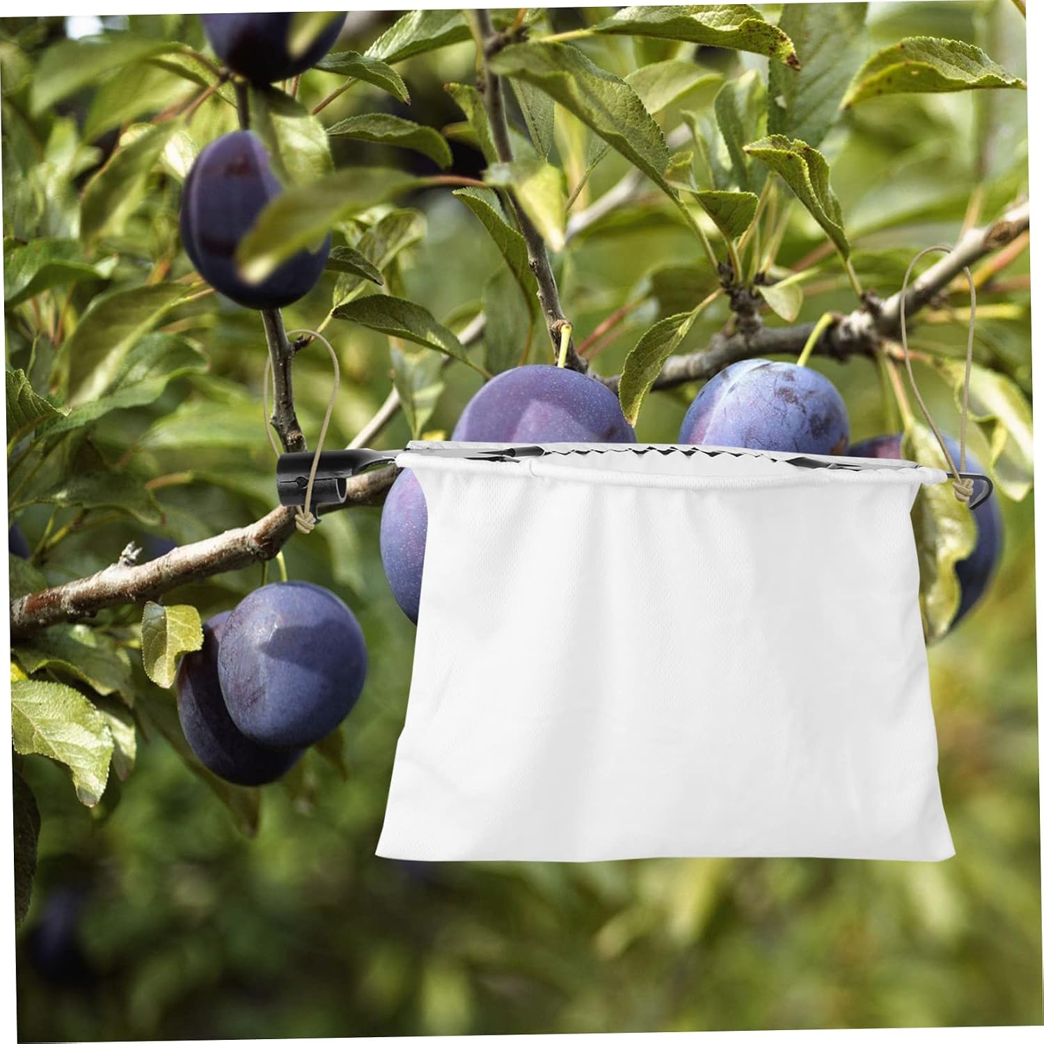 Shaped Blades Fruit Picker Pole Heavy-Duty Stainless Steel Fruit Catcher for Efficient Harvesting of Pears