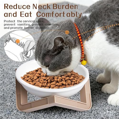 Miniatura 4 de 2Pcs Elevated Cat Bowls,5.1Inch Ceramic Stainless Steel Cat Dishes,Pet Holder Feeding,Tilted Pet Water Bowl for Cats Small Dogs (Ceramics)
