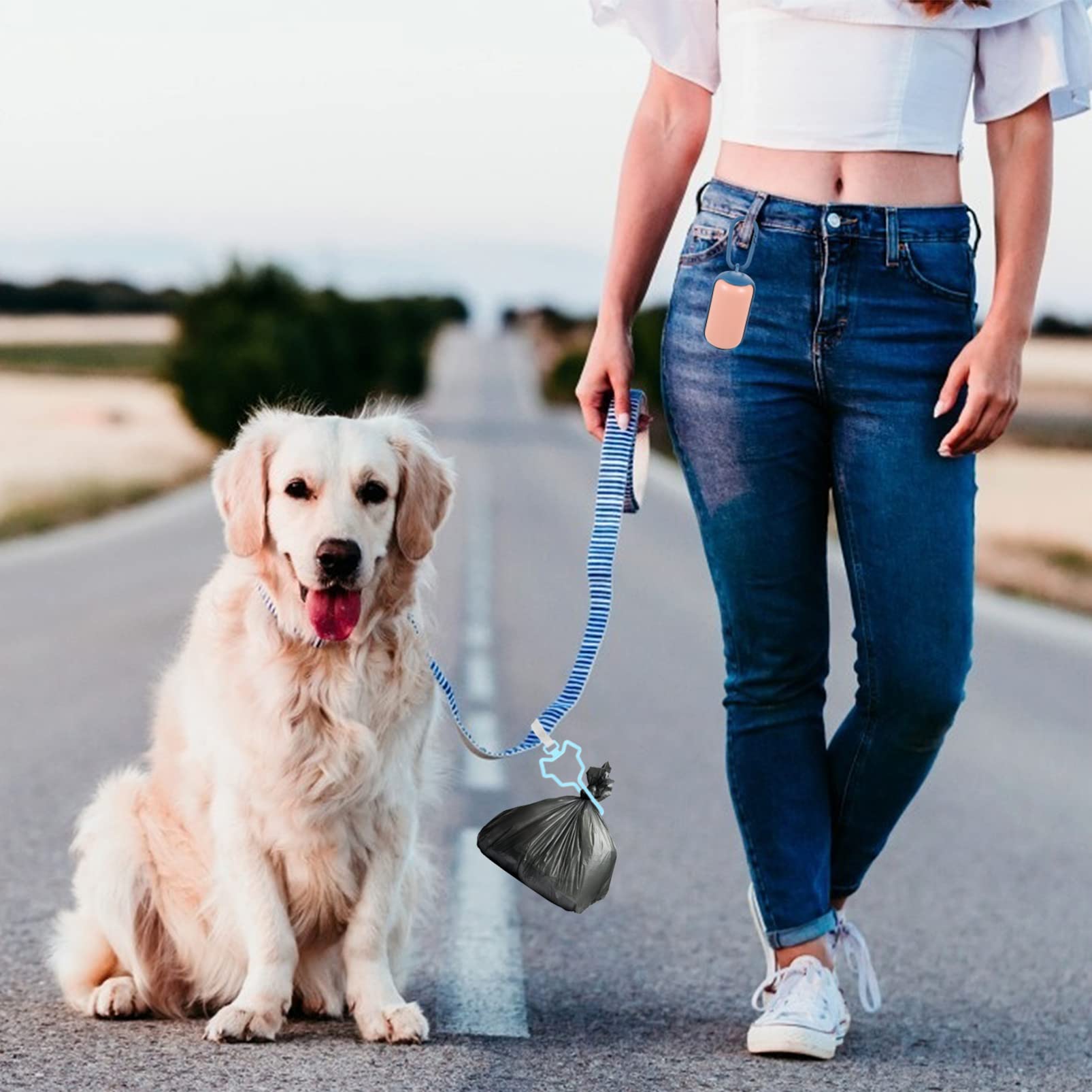 5pièces Distributeur De à Déjections Canines Clip De Fixation Pratique Pour Laisse à Et Poussette Accessoire De Promenade Main Pour Chiens