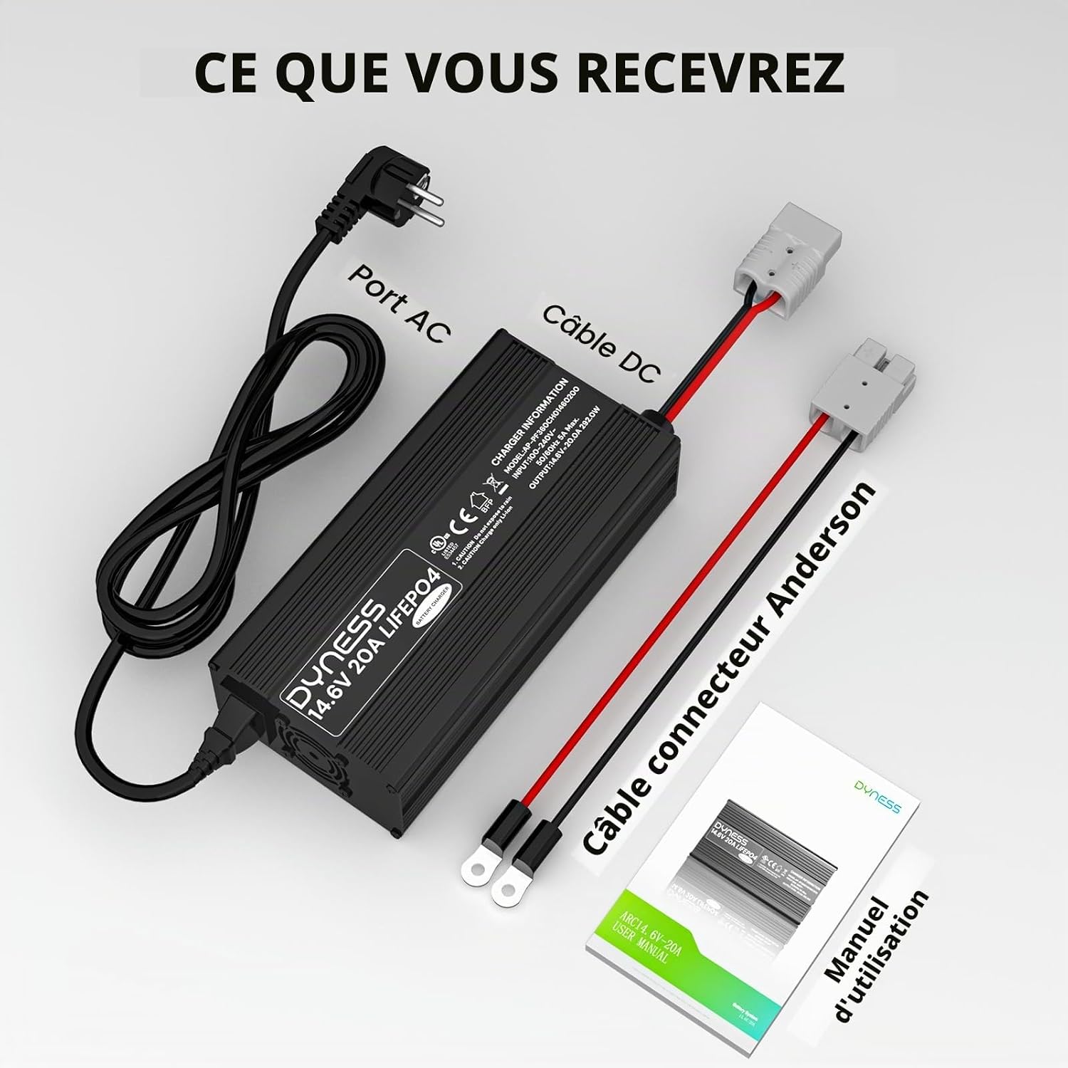 Contents of Dyness LiFePO4 Charger package