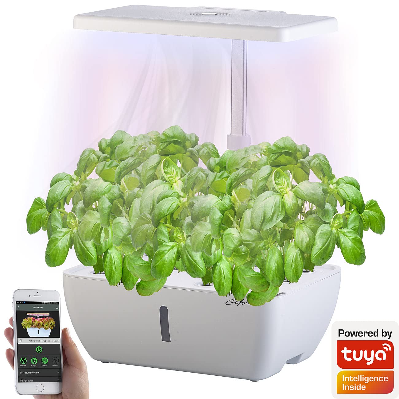 Carlo Milano Grow Lampe: Smartes WLAN-Anzuchtsystem für 12 Pflanzen, Wachstums-LEDs, App, 7 l (Led Grow, Anzuchtbox, Kräutergarten)