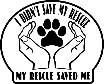 My Dog Rescued Me Car Bumper Window Sticker 4"x 4" Laminated for Long Life.