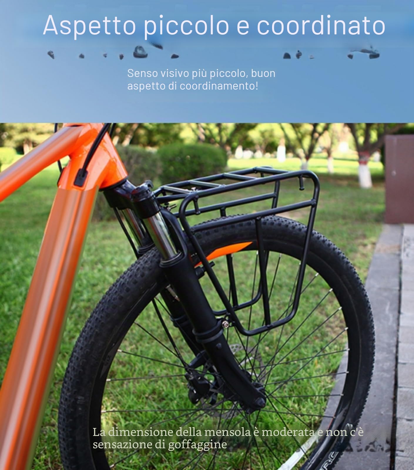 Portapacchi per bicicletta olandese bagaglio porta bagagli anteriore per mountain bike, velo e bici da turismo, porta bagagli per bici da strada