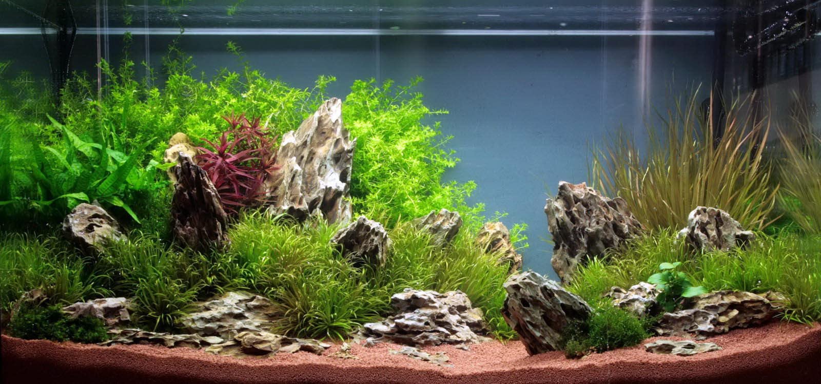 View 3