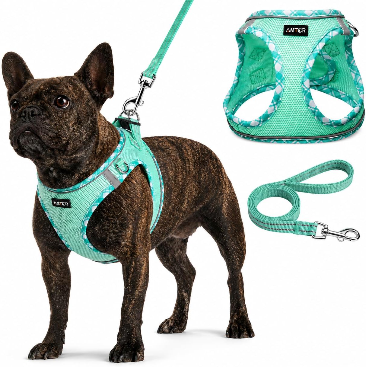 AMTOR Small Dog Harness with Leash Set, No Escape Easy Walk Puppy Harnesses for Training Walking, Step-in Reflective Soft Dogs Vest for XS S Medium Extra-Small Large Sized Dog(Green,S)